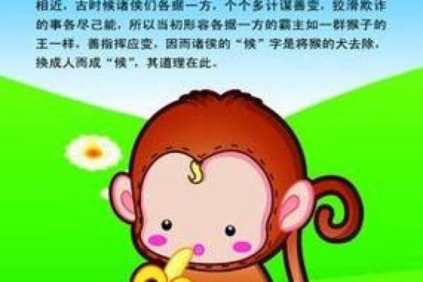 属猴6点出生命运解析：灵活聪慧，具备无限潜能
