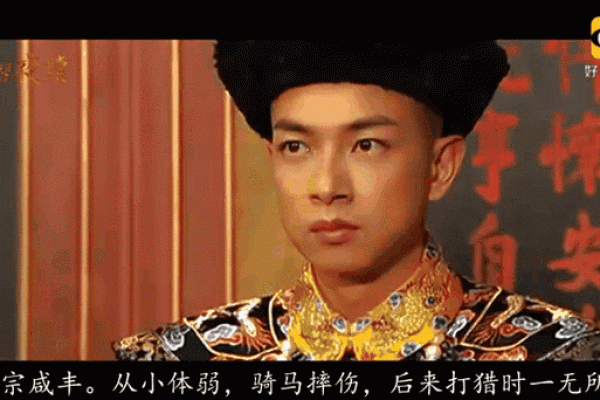 清文宗命的深层含义与历史价值探讨