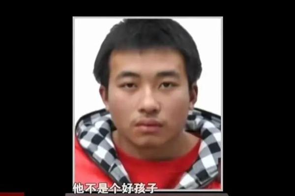 揭秘四个家庭六个男娃的命运与成长故事 揭秘四个家庭六个男娃的命运与成长故事