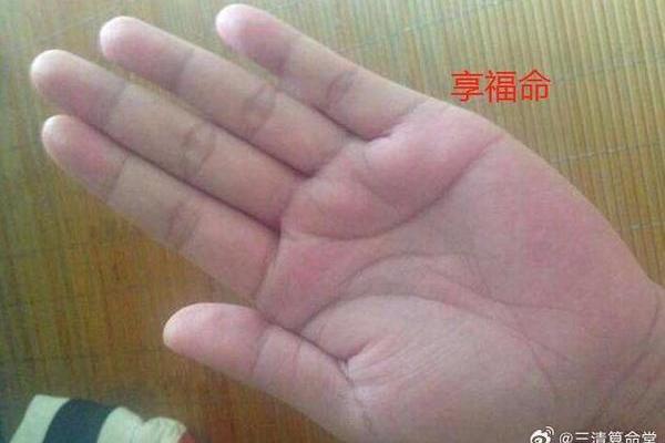 手心肉的奥秘与人生命运的奇妙关联 手心肉的奥秘与人生命运的奇妙关联