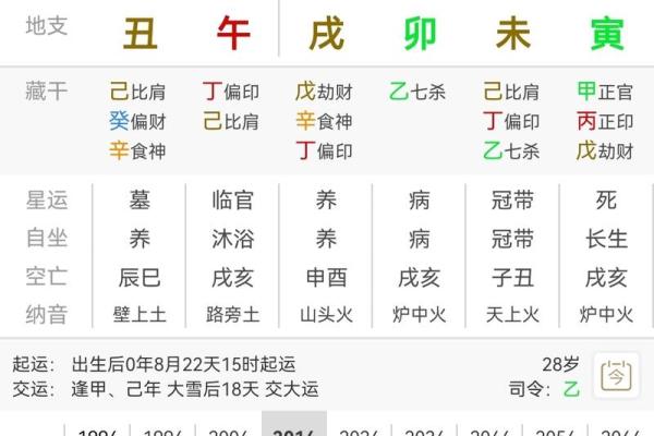 伤官见食神：命理中的独特命格解析与人生启示