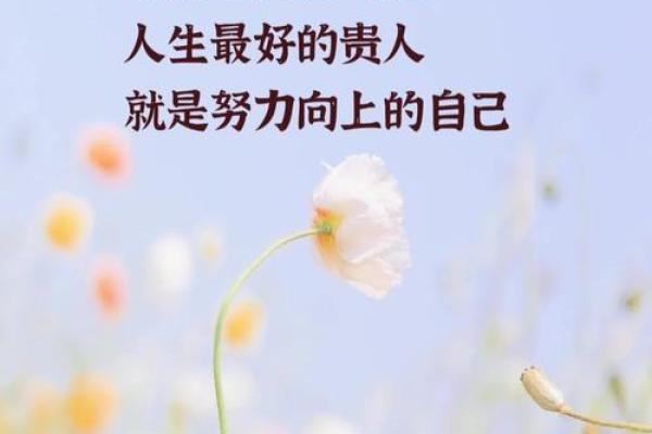 看着命好苦的人：那些在生活中挣扎却依然努力前行的灵魂