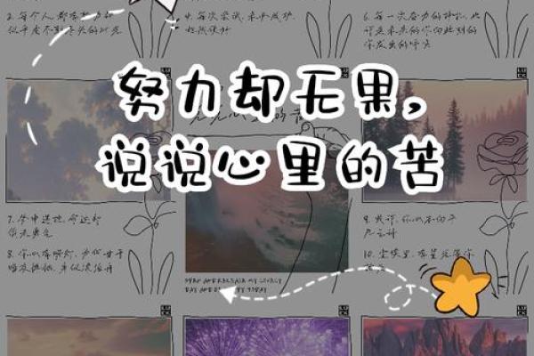 看着命好苦的人：那些在生活中挣扎却依然努力前行的灵魂