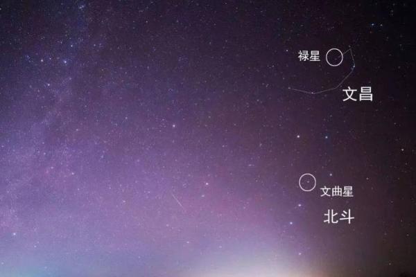 孩子命里有文曲星,如何发现和培养他的才华? 孩子命里有文曲星,如何发现和培养他的才华?