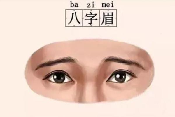 揭示八字眉命格的奥秘,了解属于你的命运特征! 揭示八字眉命格的奥秘,了解属于你的命运特征!