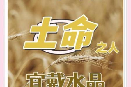 木命女人戴什么最旺土命，提升运势与魅力的秘籍