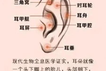 属蛇土命的佩戴之道：为你揭开最佳饰品的秘密