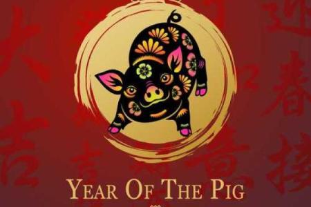 属虎男孩的命理分析：揭秘他们的命运与人生机遇