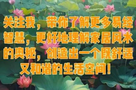 内风命失条：探寻命理中的风水密码与人生智慧