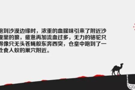 女人倒霉的命：生活中的典型不幸与反思