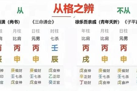 揭秘男命七杀与生肖的神秘关联，让你了解命理的奥秘！