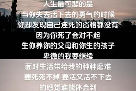 什么样的人救不了命：理解人与人之间的脆弱与无力