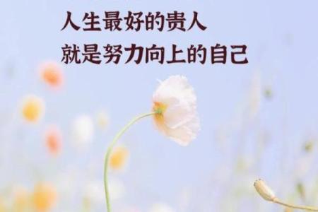 看着命好苦的人：那些在生活中挣扎却依然努力前行的灵魂