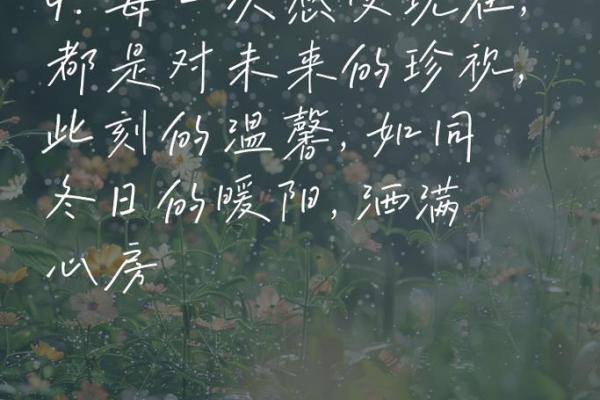 漂洋过海的命：人生旅途中那些值得珍惜的瞬间