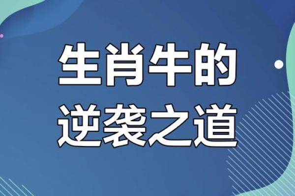 属牛1961的命运：智慧与坚韧的结合之路