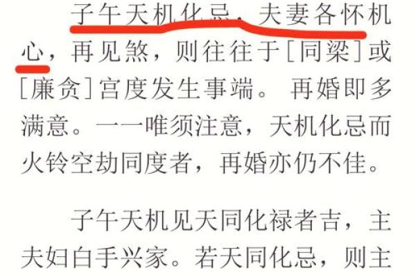 解读夫妻宫化忌:揭示命运中的情感隐秘与智慧 解读夫妻宫化忌:揭示命运中的情感隐秘与智慧