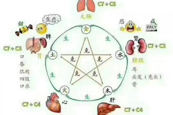 揭秘五行命理:火命与命理的深层关系 揭秘五行命理:火命与命理的深层关系