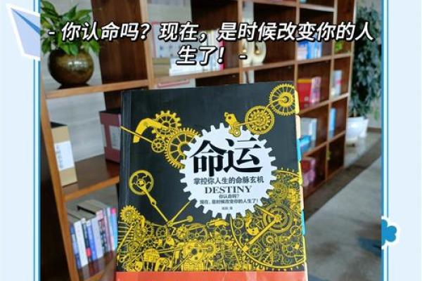 人生92年属什么命:从命理看人生的秘密与智慧 人生92年属什么命:从命理看人生的秘密与智慧