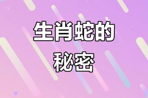 2023年属蛇人士的命运与年龄解析,助你抓住机遇与挑战! 2023年属蛇人士的命运与年龄解析,助你抓住机遇与挑战!