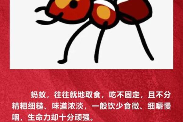 揭示木命者的命理秘诀：助你一生顺风顺水的法则！