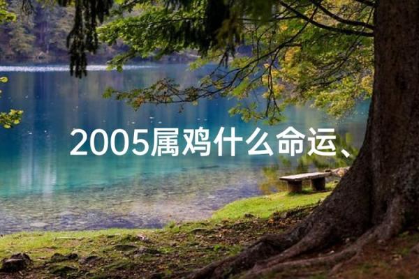属鸡者的命运解析:9月初16日出生的命格与人生契机 属鸡者的命运解析:9月初16日出生的命格与人生契机