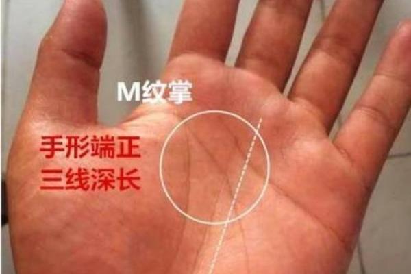 手中纹理解命运，潜藏人生秘密的两条纹