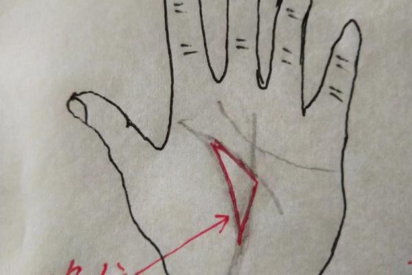 手中纹理解命运，潜藏人生秘密的两条纹