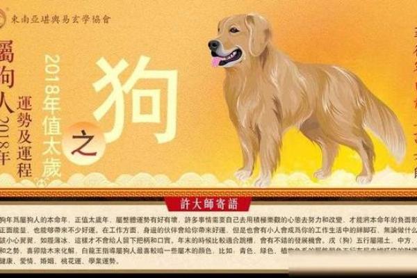 属狗的9月20日出生者:生命的多重面相与命运的奇妙旅程 属狗的9月20日出生者:生命的多重面相与命运的奇妙旅程