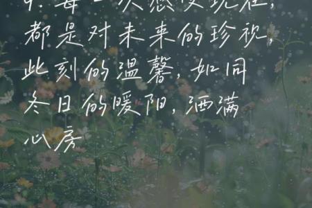 漂洋过海的命：人生旅途中那些值得珍惜的瞬间