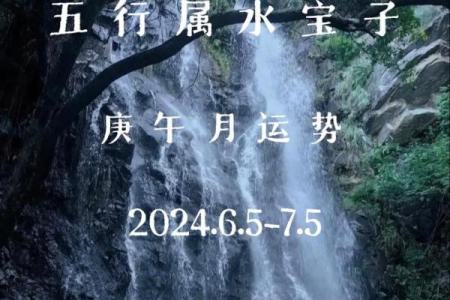 解读壬寅日柱男命的性格与人生轨迹：五行之中的水与木的交融之美