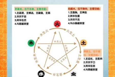 命理解析：五行中有四，人生的深层寓意与启示