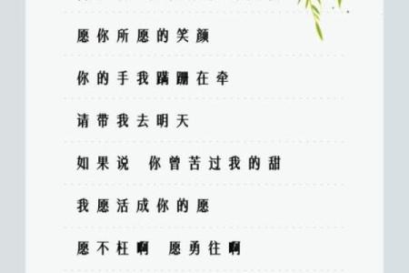 《我们拼了命的想念：探索情感的深渊与共鸣》