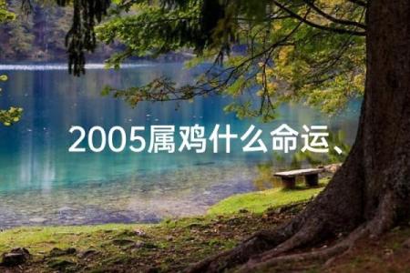 属鸡者的命运解析：9月初16日出生的命格与人生契机
