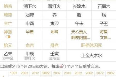 男人青龙命的特征与命理解析，揭秘个人运势之源