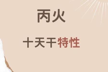 了解夏天丙火命：激情与事业的双重火焰