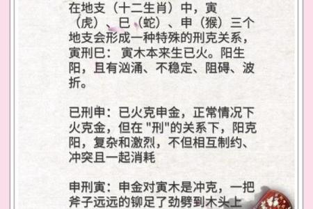 壬寅年忌木的命理解析与人生启示