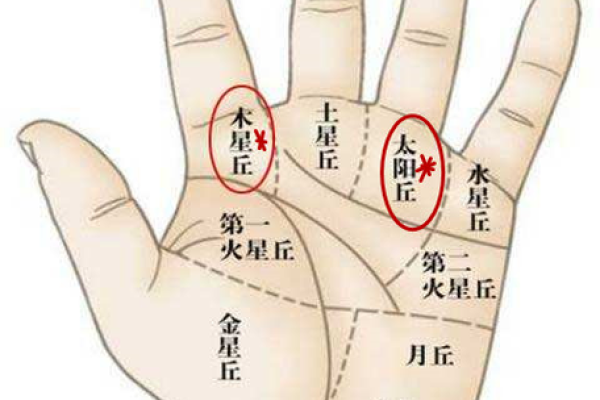 三条线手相解析:揭示你命运的秘密与财富的钥匙 三条线手相解析:揭示你命运的秘密与财富的钥匙