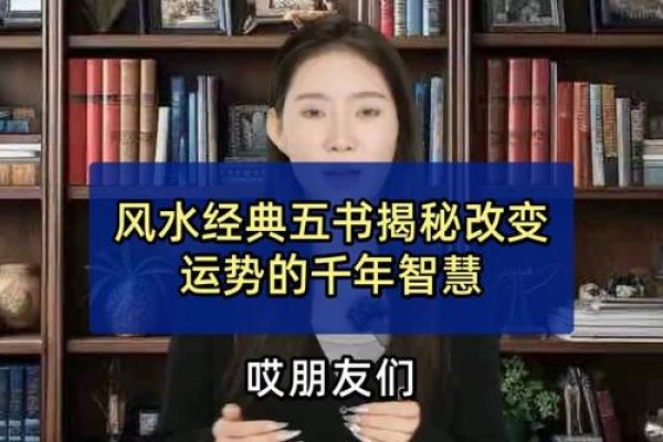 三年六个月出生的人命运解析：人生的独特旅程与运势风水