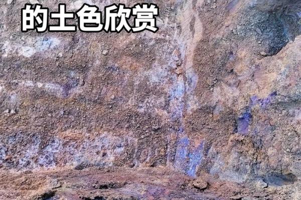 旁土命之人忌讳的颜色及其影响分析