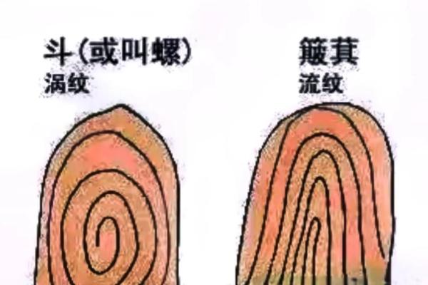 女人十指无斗，命运如何掌握？