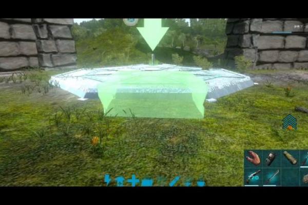 九条命的启示：生存与重生的哲学之旅