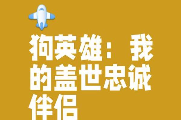 属狗命:守护忠诚与勇气,探索人生的智慧之路 属狗命:守护忠诚与勇气,探索人生的智慧之路