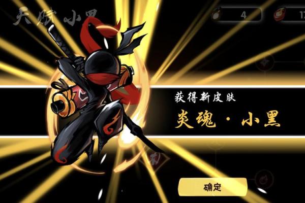 忍者之道：小黑命格的神秘与挑战解析