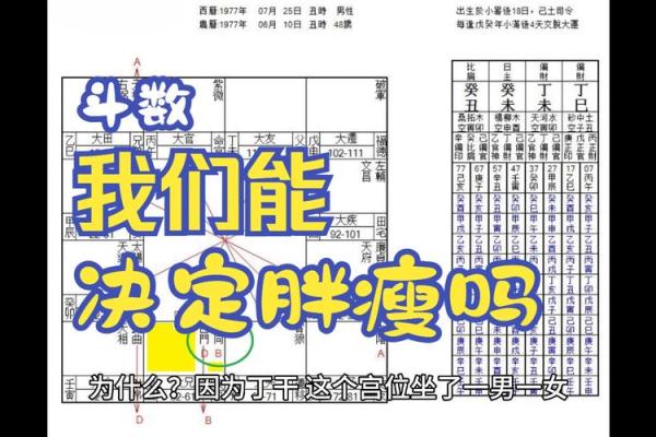 命理学中的胖瘦观：越胖越好看的秘密探讨