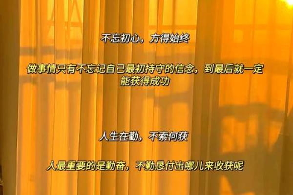 七月初五女孩的命理解析：温柔与坚韧的结合