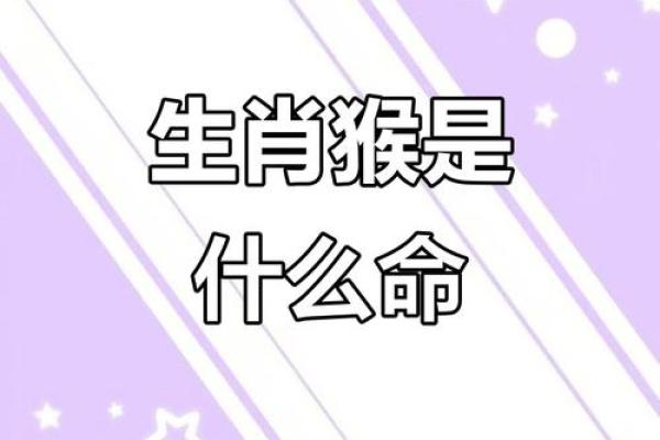 属猴54岁命运解析：智慧与挑战的交织之路