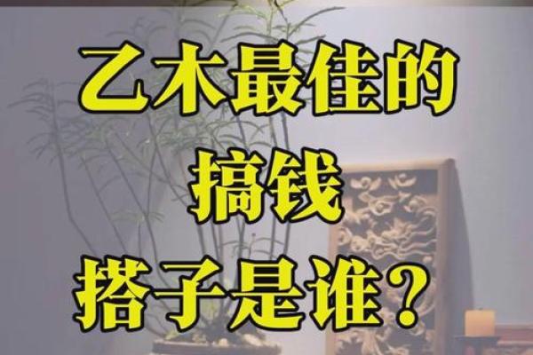 木命与搭档之道:寻找最佳配对的智慧之旅 木命与搭档之道:寻找最佳配对的智慧之旅