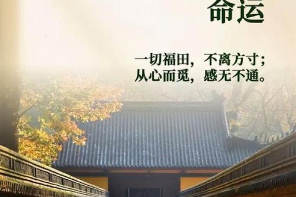 什么样的命理才算好命?教你如何识破命运的真相! 什么样的命理才算好命?教你如何识破命运的真相!