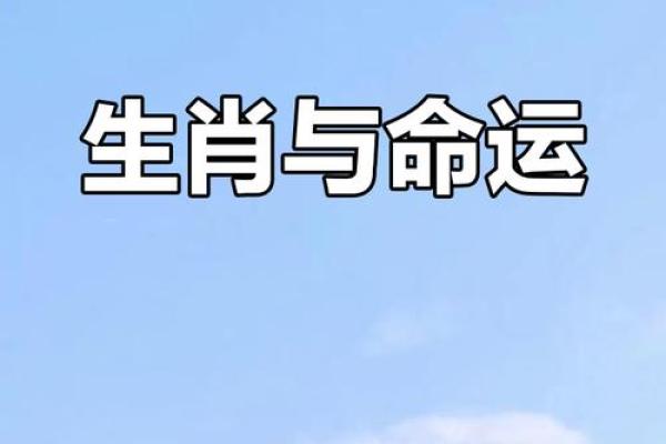 七十四年命幻身:探寻生肖的神秘力量与人生轨迹 七十四年命幻身:探寻生肖的神秘力量与人生轨迹