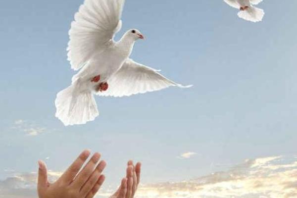 七十四年命幻身:探寻生肖的神秘力量与人生轨迹 七十四年命幻身:探寻生肖的神秘力量与人生轨迹